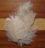 ostridge plumes   white   Terskibereg